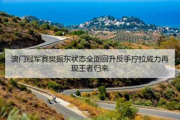 澳门冠军赛樊振东状态全面回升反手拧拉威力再现王者归来（Kaiyuan）