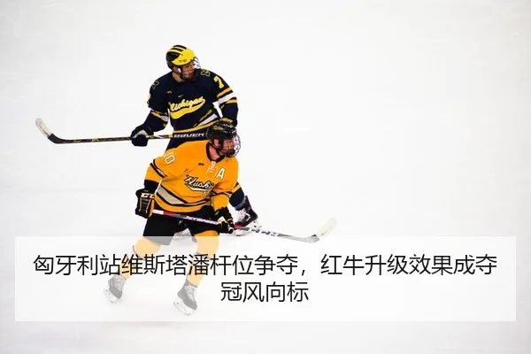 xiong-ya-li-zhan-wei-si-ta-pan-gan-wei-zheng-duo-hong-niu-sheng-ji-xiao-guo-cheng-duo-guan-feng-xiang-biao-2-486.jpg