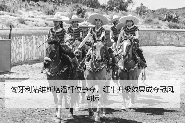 匈牙利站维斯塔潘杆位争夺，红牛升级效果成夺冠风向标（Kaiyuan）